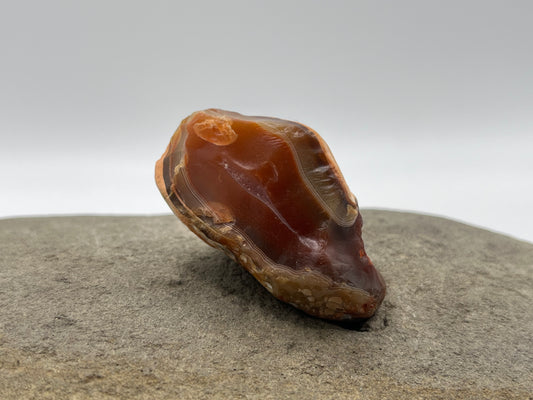 Sun Bleached Pealer LSA 49