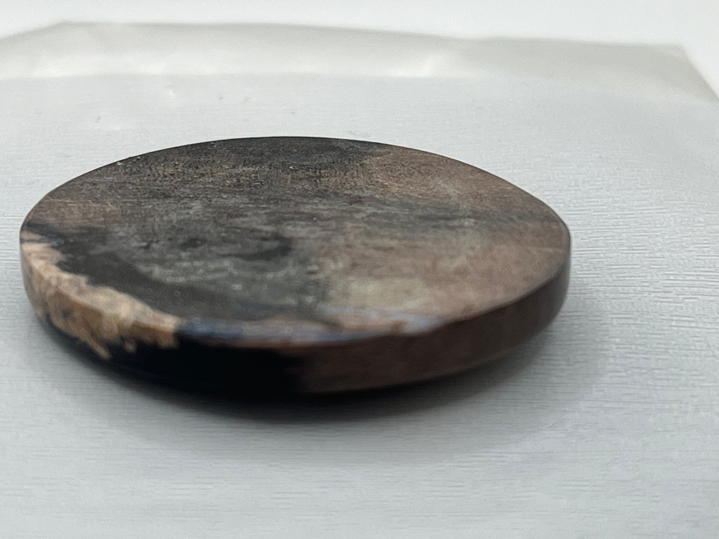 Eden Valley Petrified Wood Cabochon 11