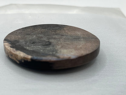 Eden Valley Petrified Wood Cabochon 11