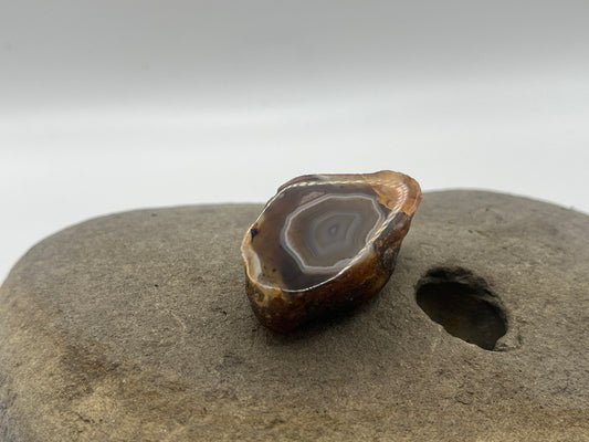 Black River Agate Specimen 2
