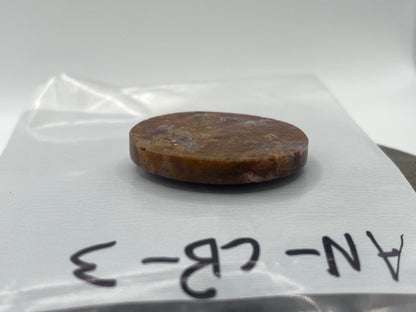Agua Nueva Agate Cabochon 3