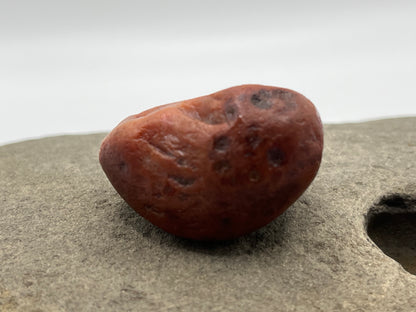 Hourglass Banded Painter LSA 52