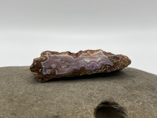 Coyamito Agate Specimen 3