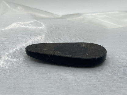 Eden Valley Petrified Wood Cabochon 19