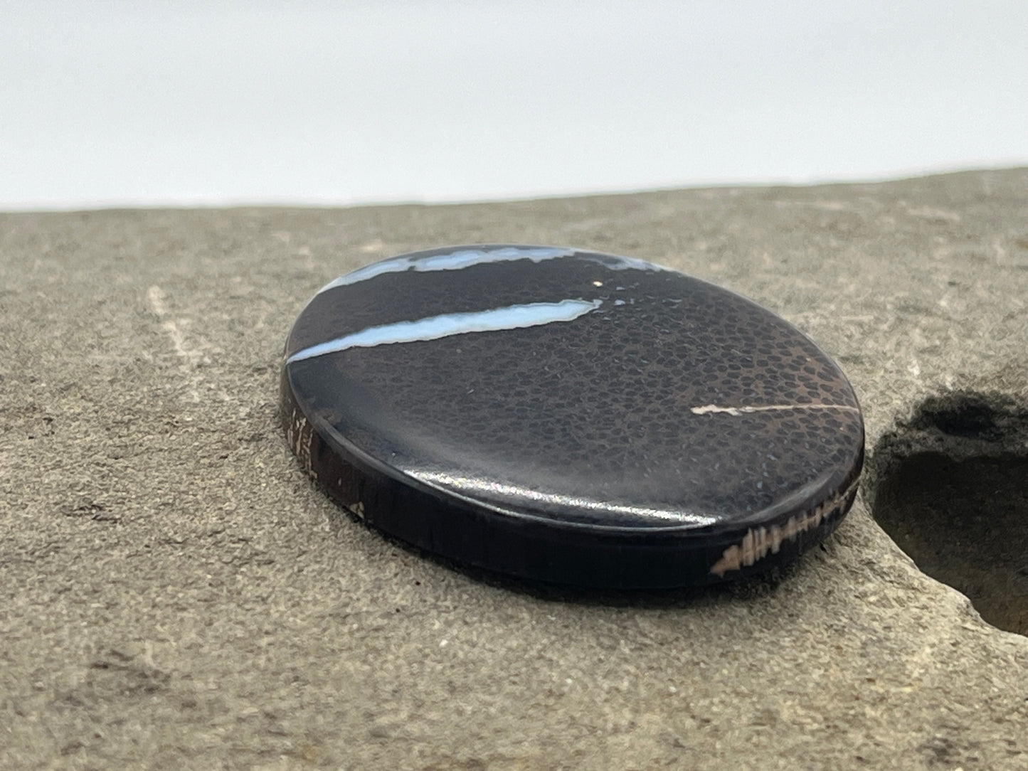 Eden Valley Petrified Wood Cabochon 10