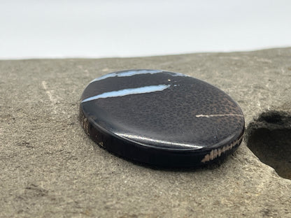 Eden Valley Petrified Wood Cabochon 10