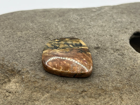 Carasite Jasper Cabochon 3