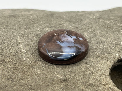Eden Valley Petrified Wood Cabochon 4