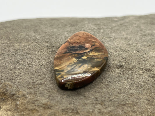 Carasite Jasper Cabochon 2