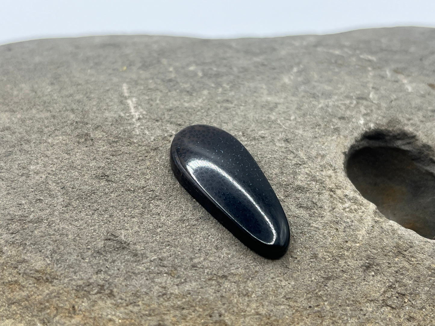 Eden Valley Petrified Wood Cabochon 1