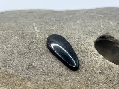 Eden Valley Petrified Wood Cabochon 1