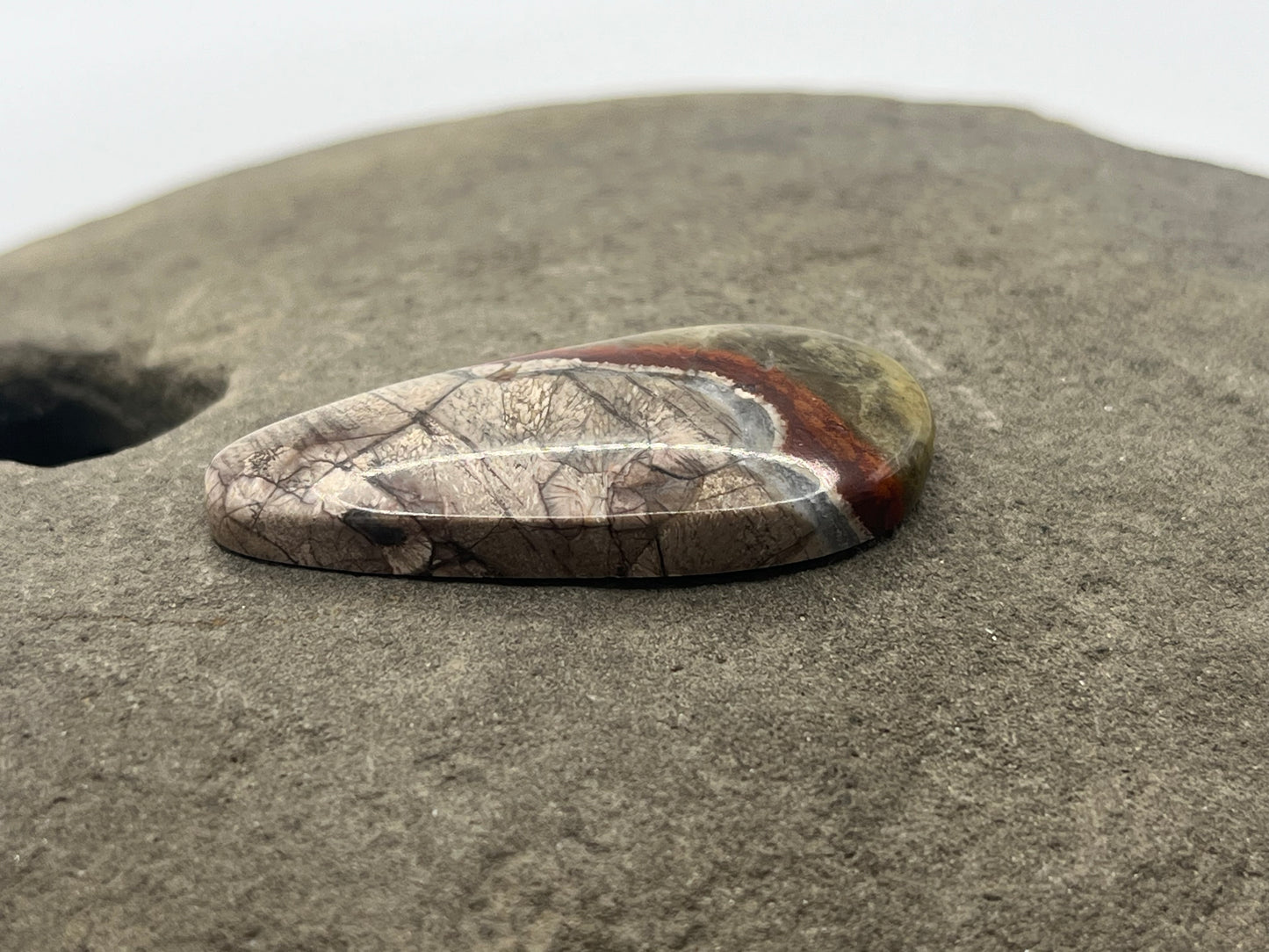 Mushroom Ryolite Cabochon 2