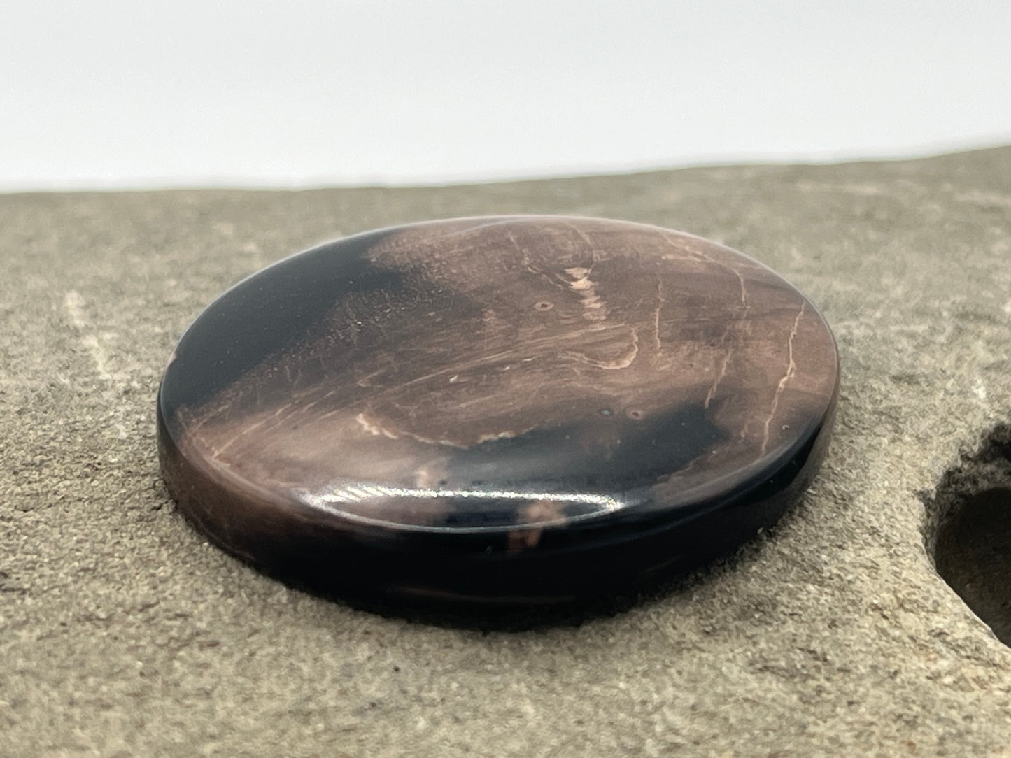 Eden Valley Petrified Wood Cabochon 11