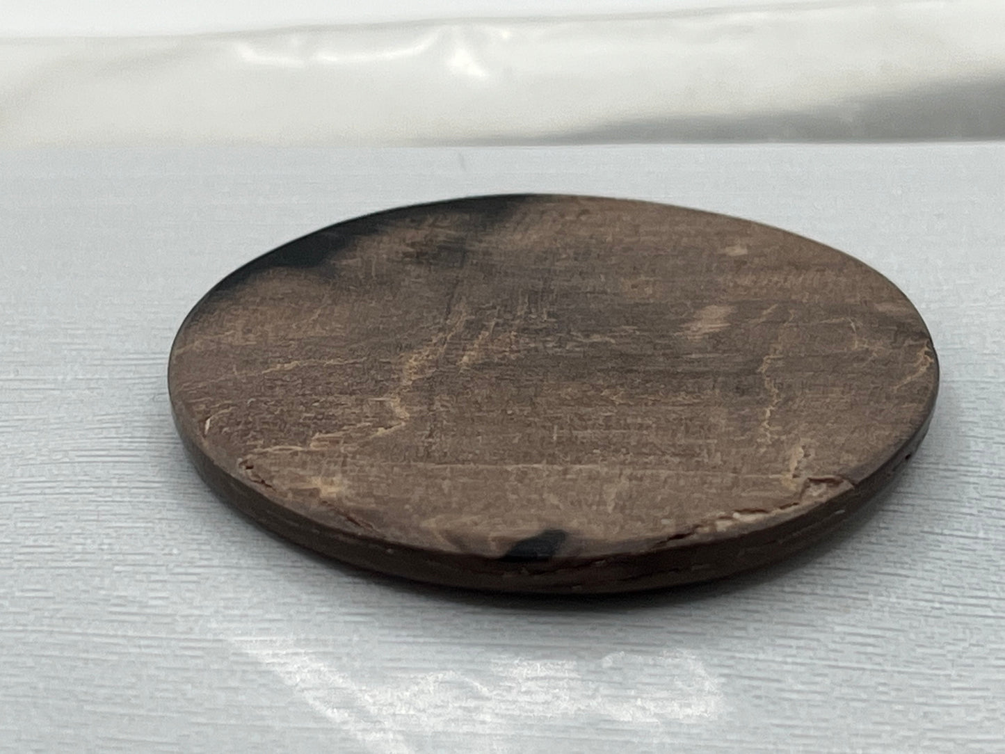 Eden Valley Petrified Wood Cabochon 26