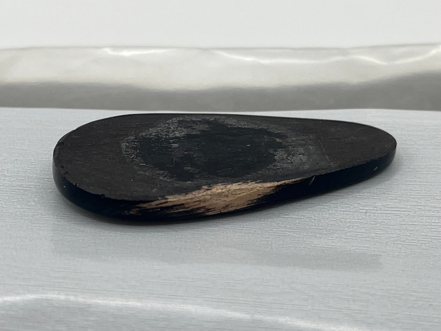 Eden Valley Petrified Wood Cabochon 30