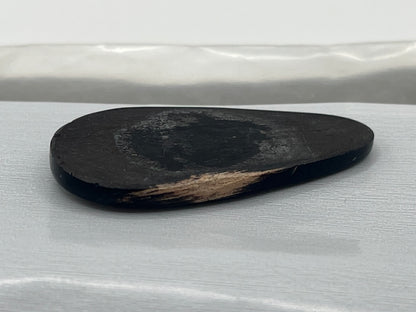 Eden Valley Petrified Wood Cabochon 30