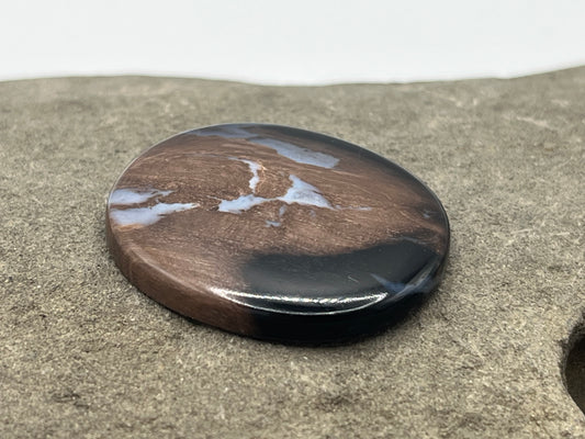Eden Valley Petrified Wood Cabochon 29