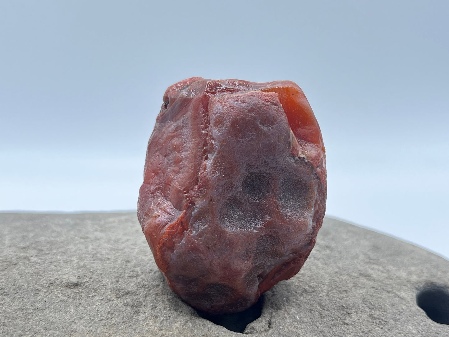 Red Pealer with Floater bands LSA 51