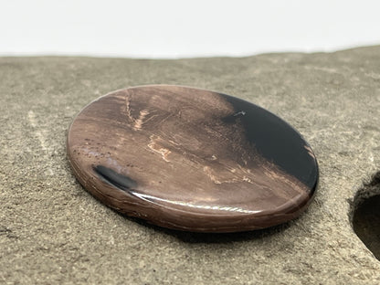 Eden Valley Petrified Wood Cabochon 26