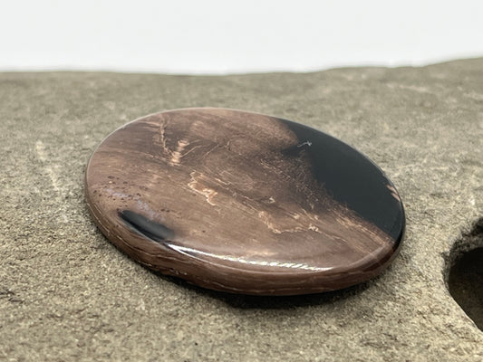 Eden Valley Petrified Wood Cabochon 26