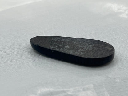 Eden Valley Petrified Wood Cabochon 1