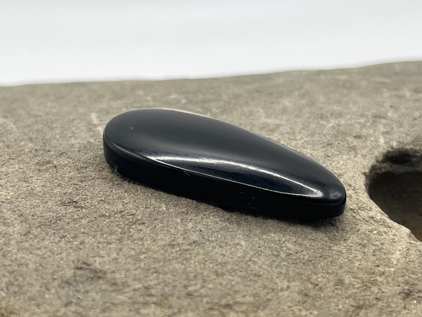 Eden Valley Petrified Wood Cabochon 19