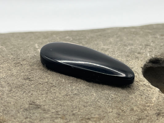 Eden Valley Petrified Wood Cabochon 19