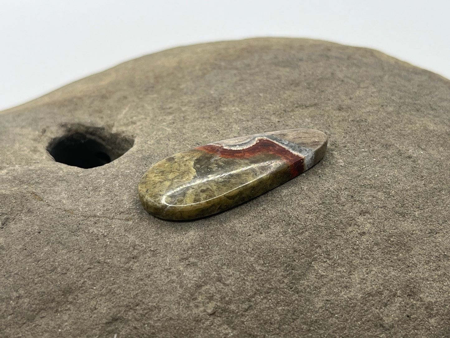 Mushroom Ryolite Cabochon 5