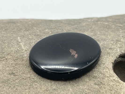 Eden Valley Petrified Wood Cabochon 24