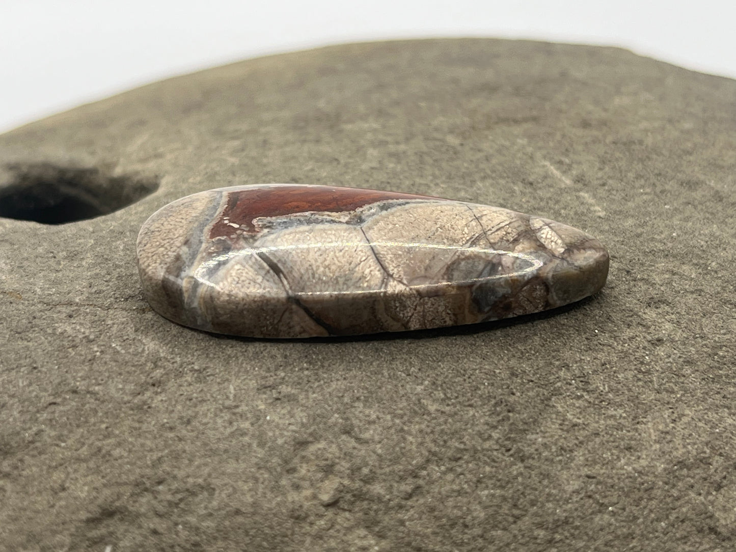 Mushroom Ryolite Cabochon 10