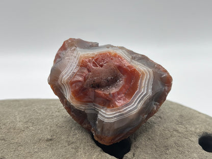 Shadow Bander LSA 33