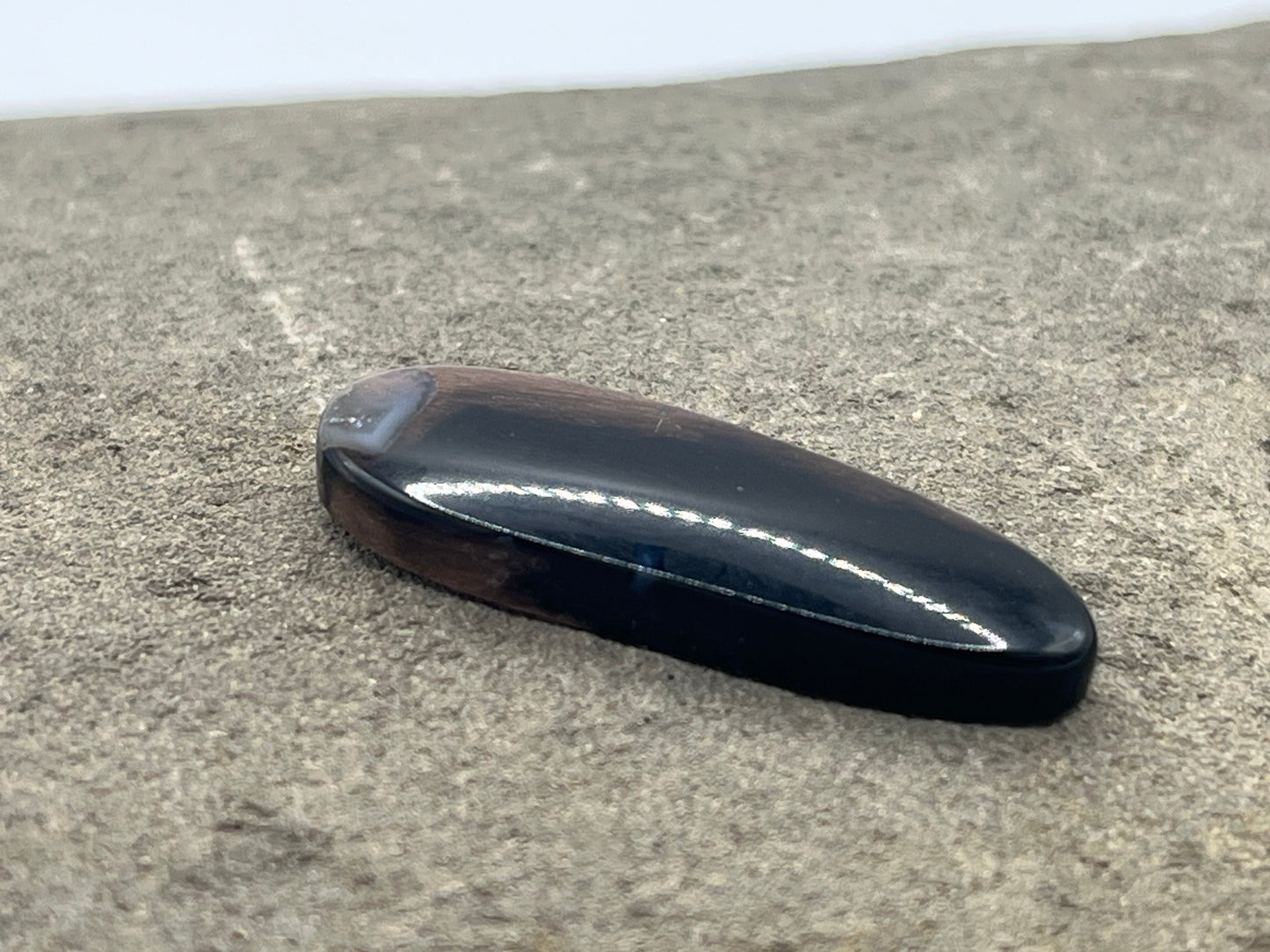 Eden Valley Petrified Wood Cabochon 15