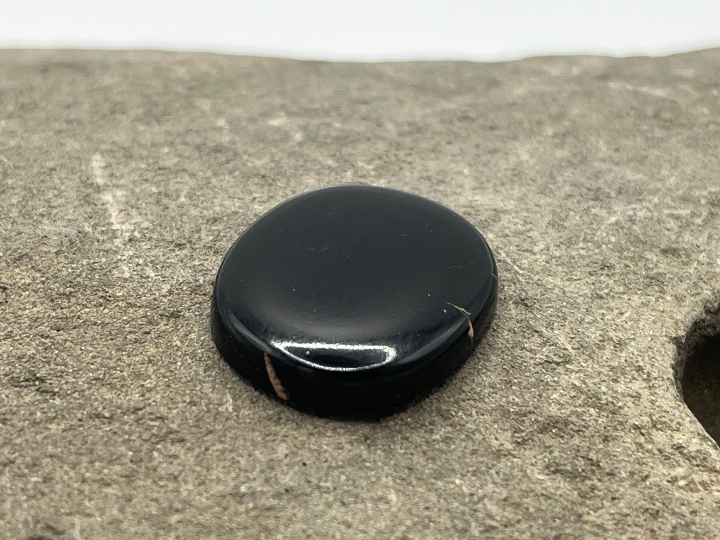 Eden Valley Petrified Wood Cabochon 8