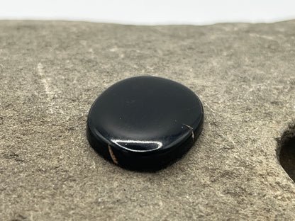 Eden Valley Petrified Wood Cabochon 8