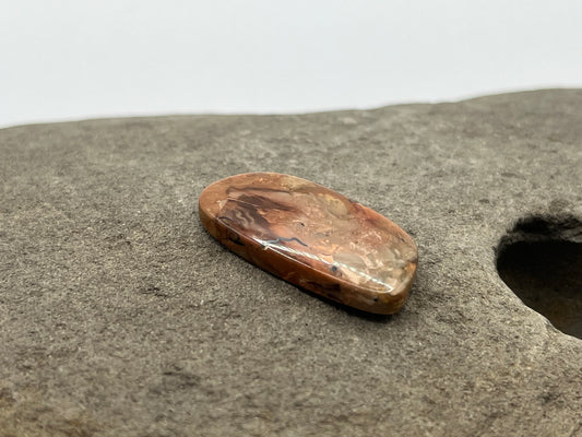 Carasite Jasper Cabochon 1
