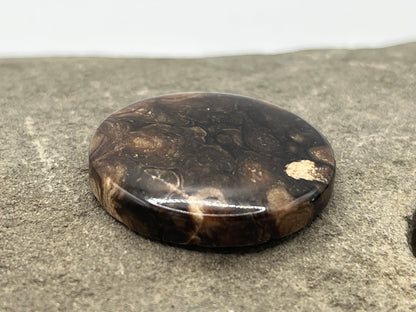 Eden Valley Petrified Wood Cabochon 7