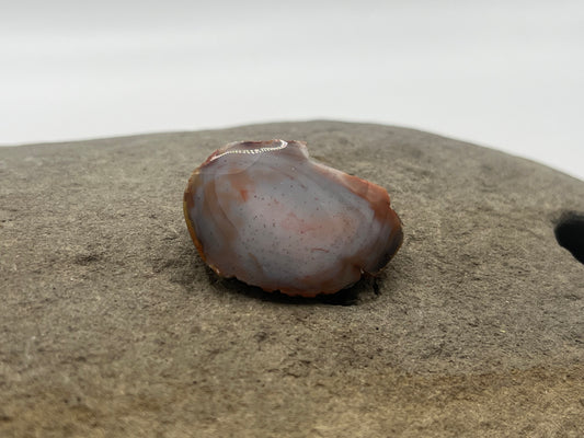 Lake Superior Agate Specimen 12
