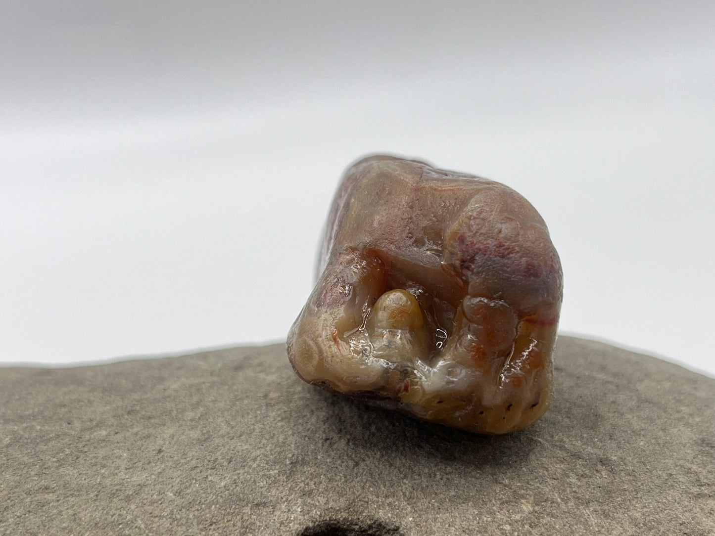 Botryoidal Tuber LSA 4