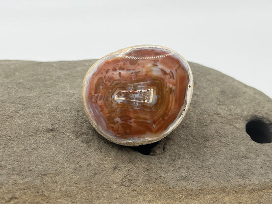 Bahia Agate Specimen 16