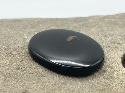 Eden Valley Petrified Wood Cabochon 24