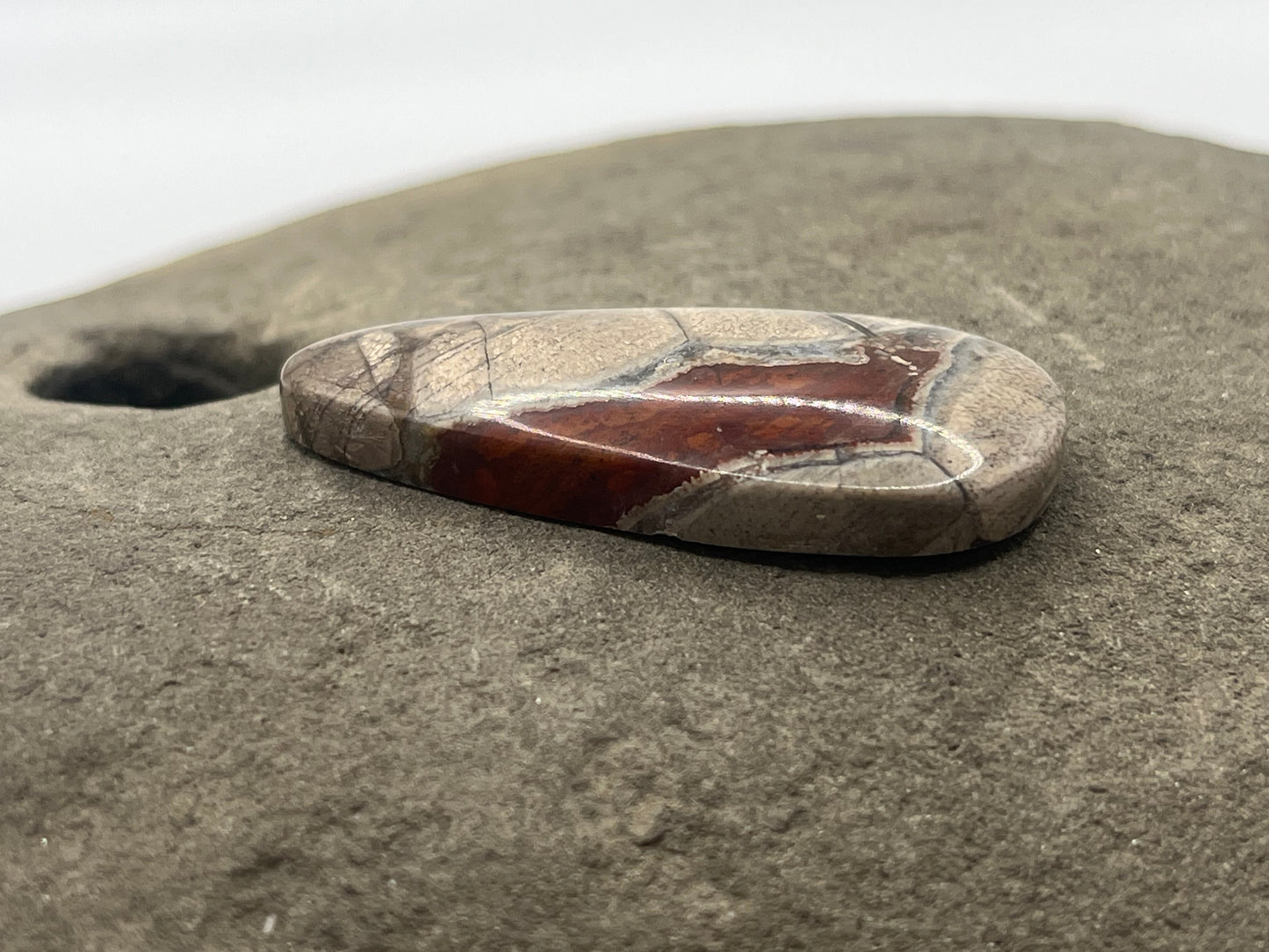 Mushroom Ryolite Cabochon 10