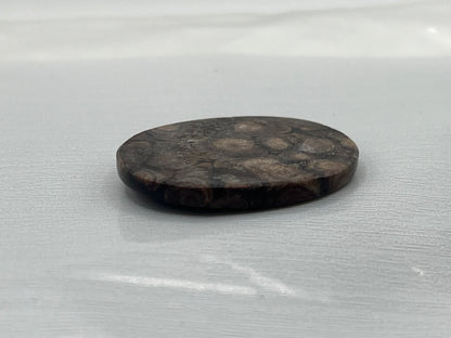 Eden Valley Petrified Wood Cabochon 16