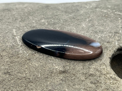 Eden Valley Petrified Wood Cabochon 3