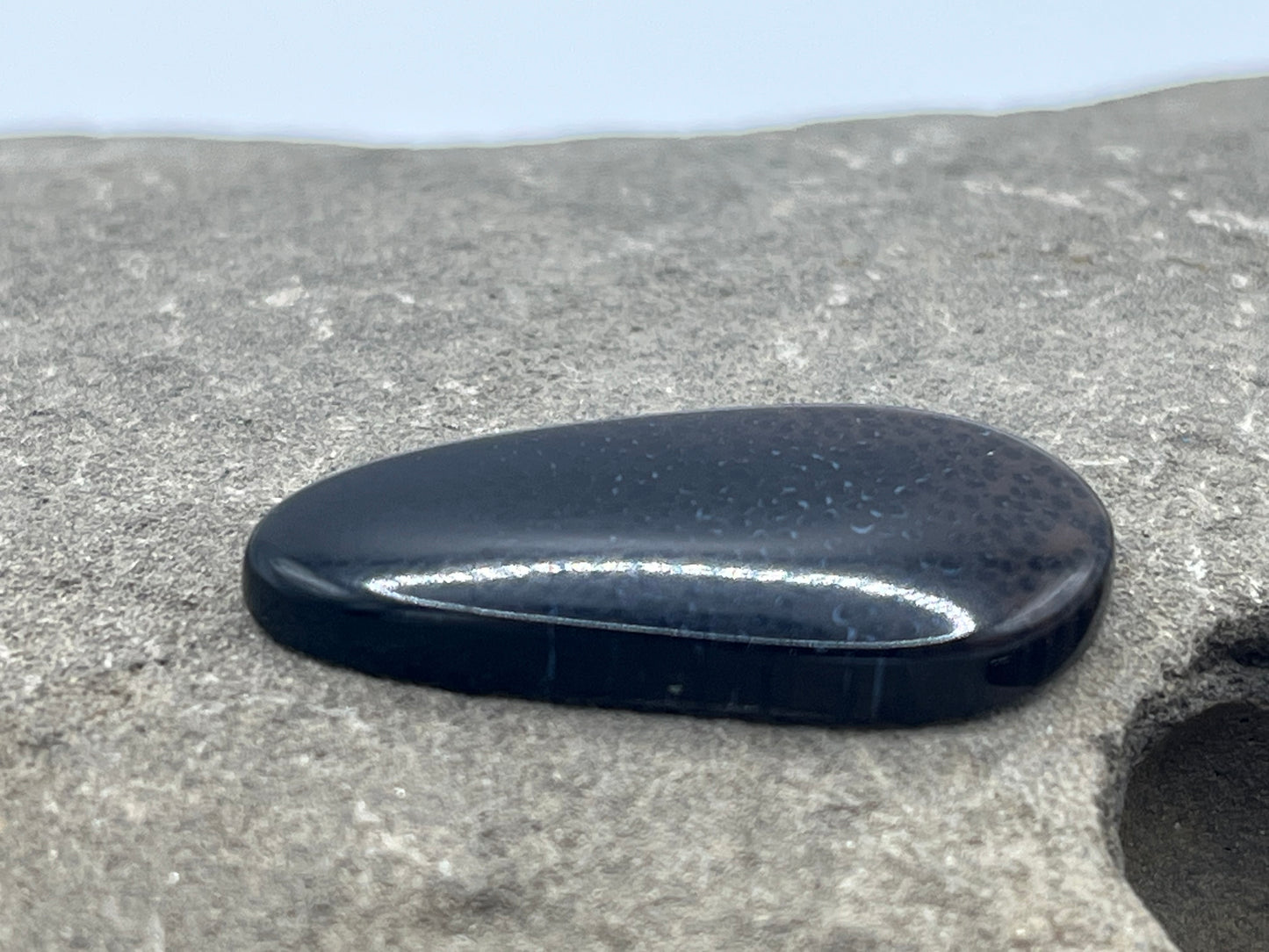 Eden Valley Petrified Wood Cabochon 1
