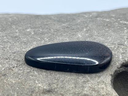 Eden Valley Petrified Wood Cabochon 1