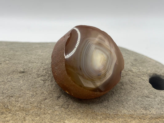 Black River Agate Specimen 4