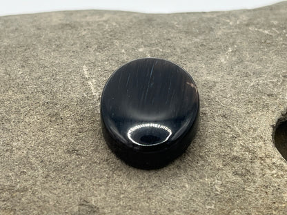 Eden Valley Petrified Wood Cabochon 2