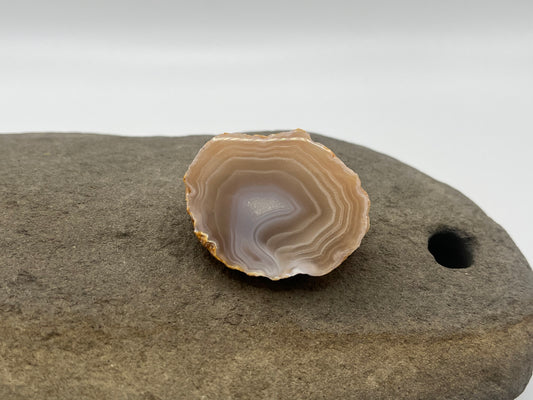 Picacho Agate Specimen 4