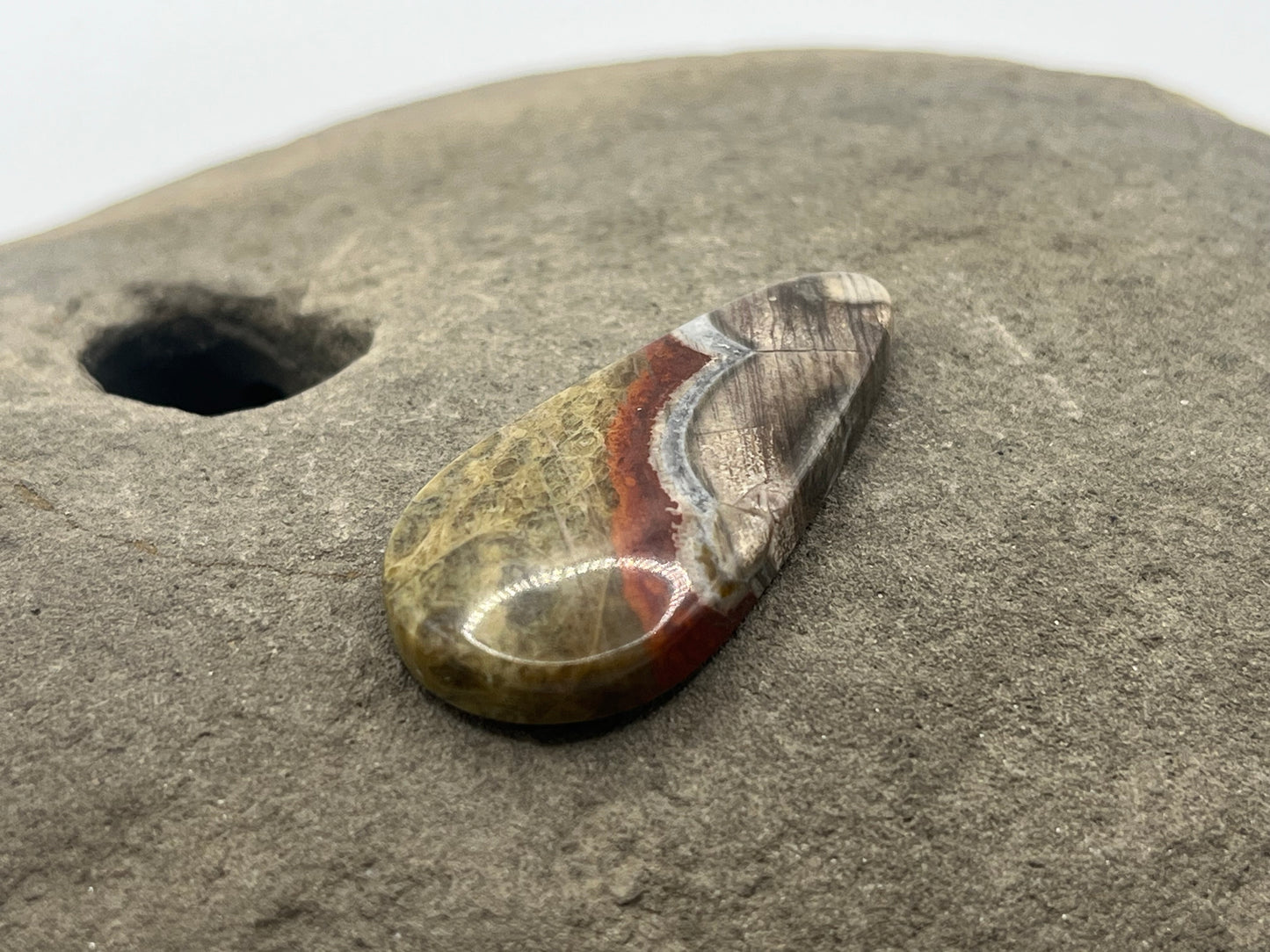 Mushroom Ryolite Cabochon 3
