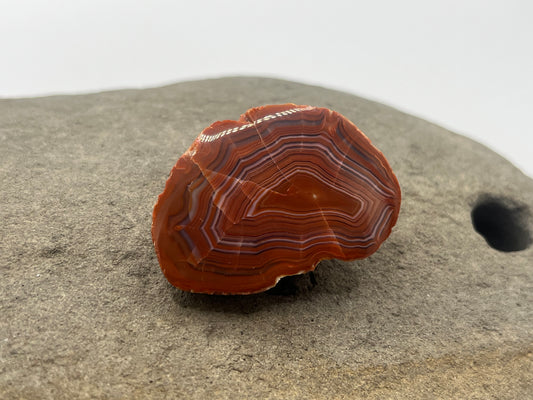 Lake Superior Agate Specimen 23